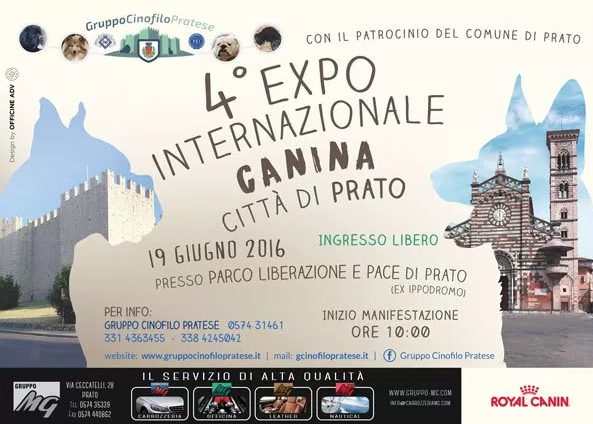 GRUPPO MG SPONSOR 4° EDIZIONE MOSTRA INTERNAZIONALE CANINA A PRATO – 19 GIUGNO 2016