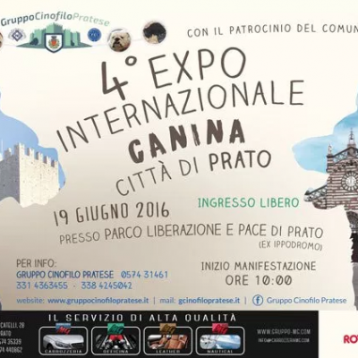 GRUPPO MG SPONSOR 4° EDIZIONE MOSTRA INTERNAZIONALE CANINA A PRATO – 19 GIUGNO 2016